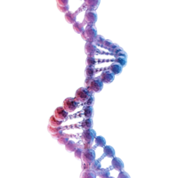 ai generiert DNA Struktur Element auf transparent Hintergrund - - ai generiert png