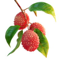 ai generato lychee su trasparente sfondo - ai generato png