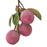 ai généré litchi sur transparent Contexte - ai généré png