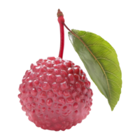 AI generated Lychee on Transparent background - Ai Generated png