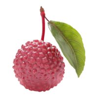 ai generato lychee su trasparente sfondo - ai generato png