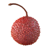 ai généré litchi sur transparent Contexte - ai généré png