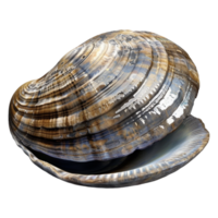 ai gegenereerd 3d renderen van een clam Aan transparant achtergrond - ai gegenereerd png