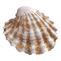 AI generated 3D Rendering of a Clam on Transparent Background - Ai Generated png