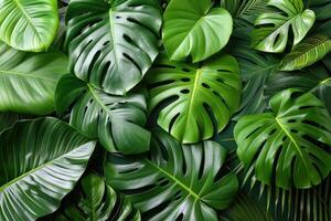 AI generated Tropical Leaves Foliage Plant Bush professional photography photo