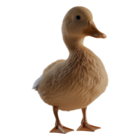 AI generated 3D Rendering of a Beautiful Duck on Transparent Background - Ai Generated png