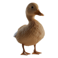 ai généré 3d le rendu de une magnifique canard sur transparent Contexte - ai généré png