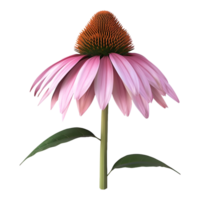 ai generado coneflower en transparente antecedentes - ai generado png