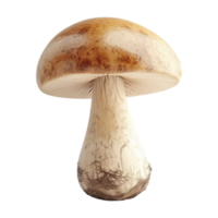 ai généré 3d le rendu de une champignon sur transparent Contexte - ai généré png