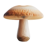 ai généré 3d le rendu de une champignon sur transparent Contexte - ai généré png