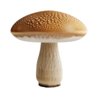 ai généré 3d le rendu de une champignon sur transparent Contexte - ai généré png