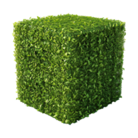 AI generated 3D Rendering of a Grass Cutting in a Square Shape on Transparent Background - Ai Generated png