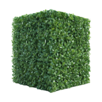 AI generated 3D Rendering of a Grass Cutting in a Square Shape on Transparent Background - Ai Generated png