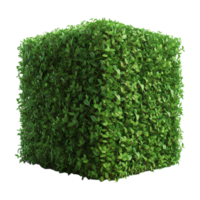 AI generated 3D Rendering of a Grass Cutting in a Square Shape on Transparent Background - Ai Generated png