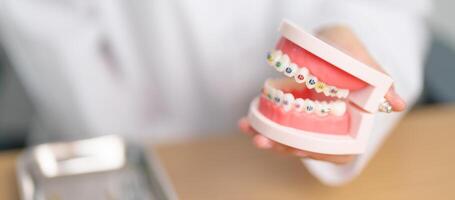 dentista con ortodoncia diente modelo y soporte o abrazadera. limpiar y raspar apagado sarro. mayo ortodoncia salud día, marzo oral salud, dentista día, falso dientes. dolor de muelas y niños dental salud foto
