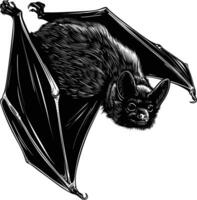 AI generated Silhouette bat animal black color only full body vector