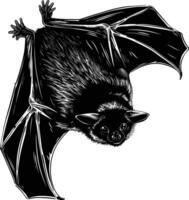 AI generated Silhouette bat animal black color only full body vector