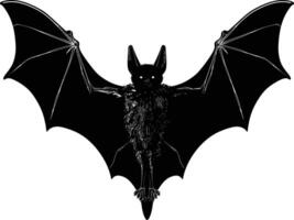 AI generated Silhouette bat animal black color only full body vector