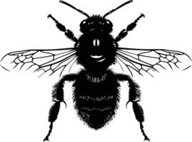 AI generated Silhouette bee animal black color only full body vector