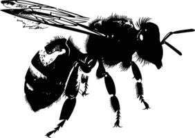 AI generated Silhouette bee animal black color only full body vector