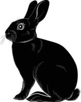 AI generated Silhouette rabbit or bunny animal black color only vector