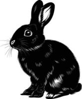 AI generated Silhouette rabbit or bunny animal black color only vector