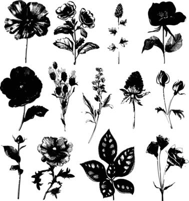 AI generated Silhouette various flowers and leaves Luxury floral element for wedding invitation template