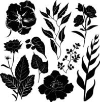 AI generated Silhouette various flowers and leaves Luxury floral element for wedding invitation template vector