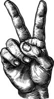 AI generated hand gesture in old engraving style for drawing reference vector