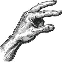 AI generated hand gesture in old engraving style for drawing reference vector