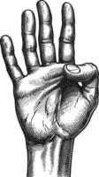 AI generated hand gesture in old engraving style for drawing reference vector