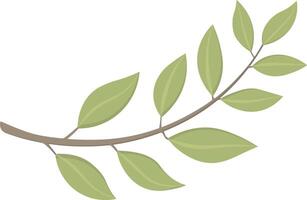 branch with leaves vector