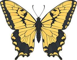 vector drawing of a butterfly without background