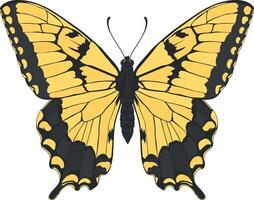 vector drawing of a butterfly without background