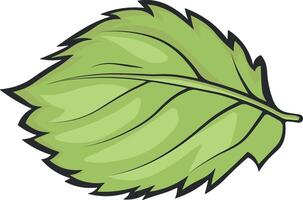 green leaf vector without background