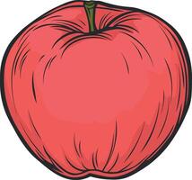 vector illustration apple without background