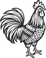 black contour silhouette of a rooster without background vector