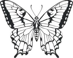 vector drawing of a butterfly without background