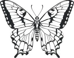 vector drawing of a butterfly without background