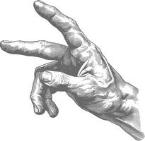 AI generated hand gesture in old engraving style for drawing reference vector