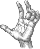 AI generated hand gesture in old engraving style for drawing reference vector