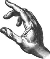 AI generated hand gesture in old engraving style for drawing reference vector