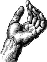 AI generated hand gesture in old engraving style for drawing reference vector