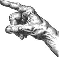 AI generated hand gesture in old engraving style for drawing reference vector