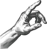 AI generated hand gesture in old engraving style for drawing reference vector