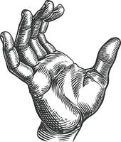 AI generated hand gesture in old engraving style for drawing reference vector