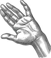 AI generated hand gesture in old engraving style for drawing reference vector