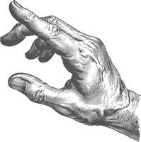 AI generated hand gesture in old engraving style for drawing reference vector