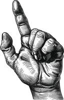 AI generated hand gesture in old engraving style for drawing reference vector