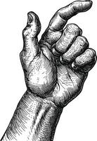 AI generated hand gesture in old engraving style for drawing reference vector